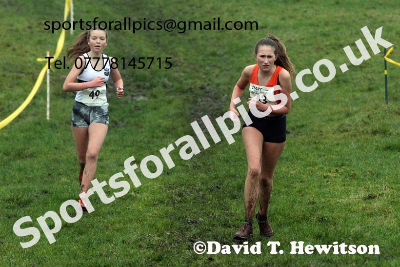Girls under-15s, NECAA Junior Cross Country Relays, Thornley Farm, Peterlee, Saturday, December 12th. Photo: David T. Hewitson/Sports for All Pics